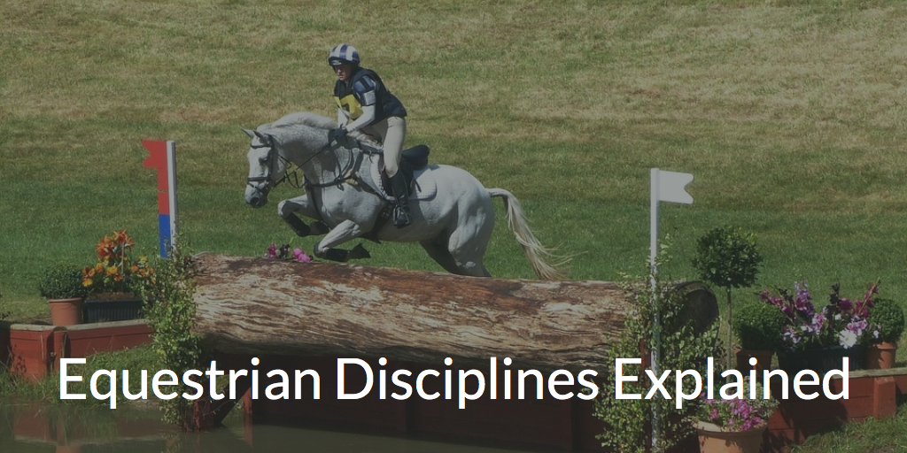 Equestrian Disciplines Explained: Dressage, Show Jumping & Eventing