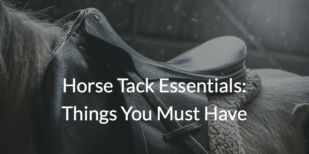 Horse Tack Essentials: Things You Must Have - The Ultimate Checklist