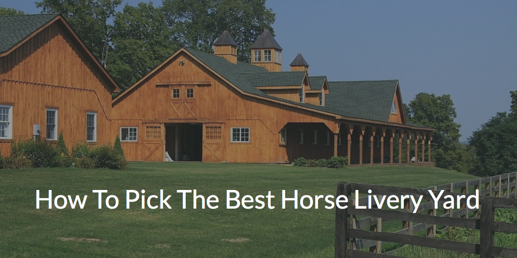 How To Pick The Best Horse Livery Yard: The Ultimate Guide