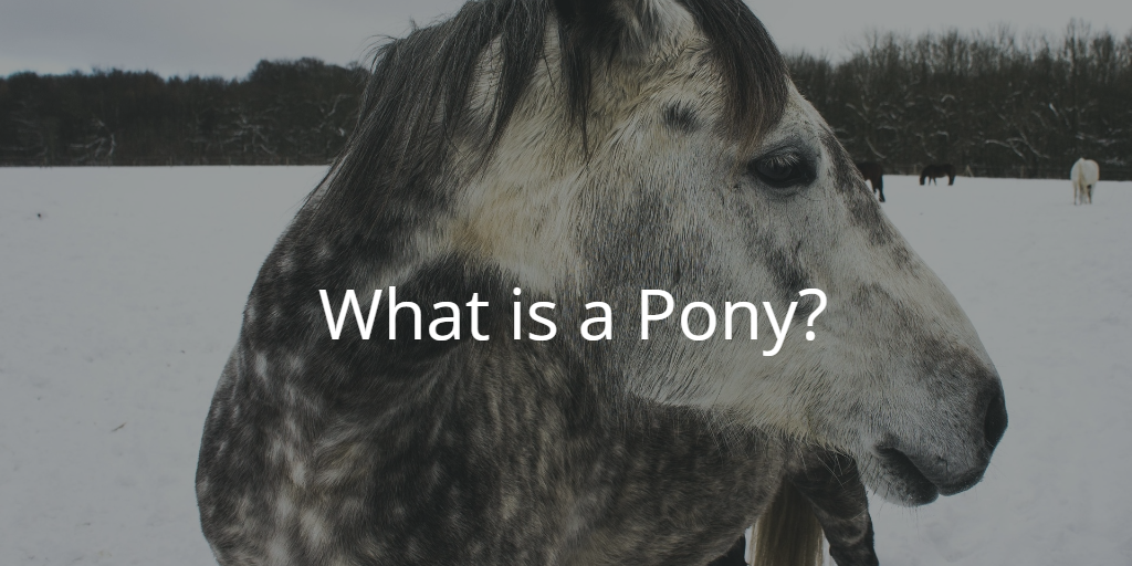 What is a Pony?