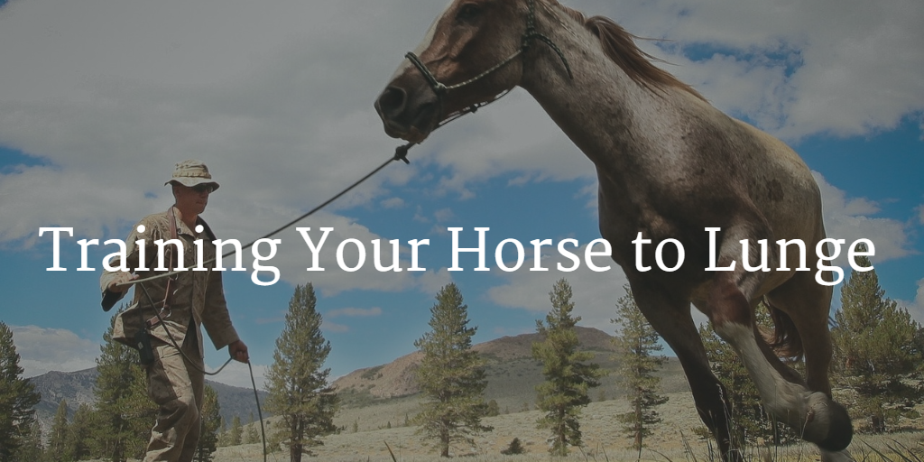Training Your Horse to Lunge - a Comprehensive Guide