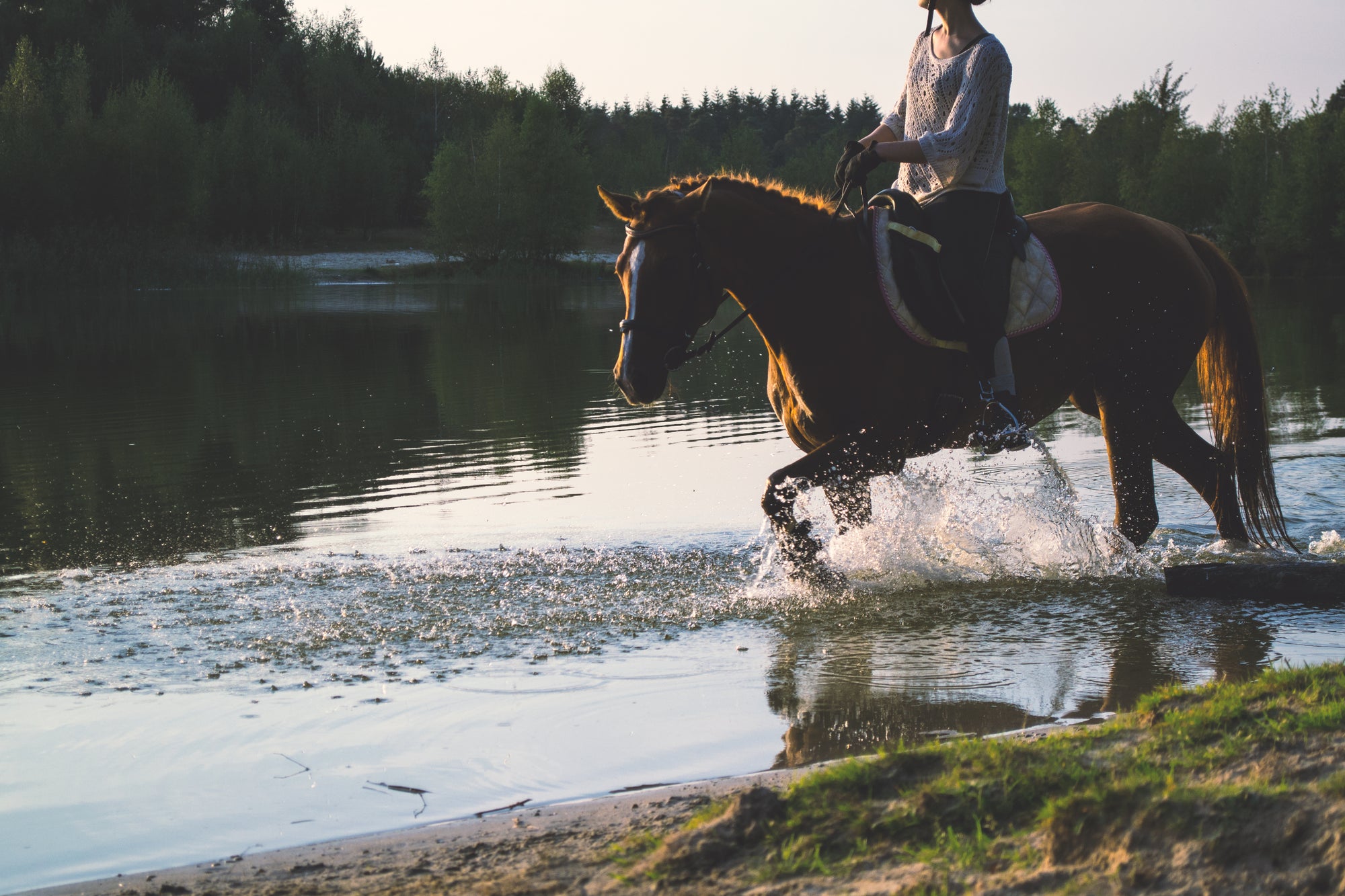 Is Horse Riding Good for You? Seven Surprising Facts