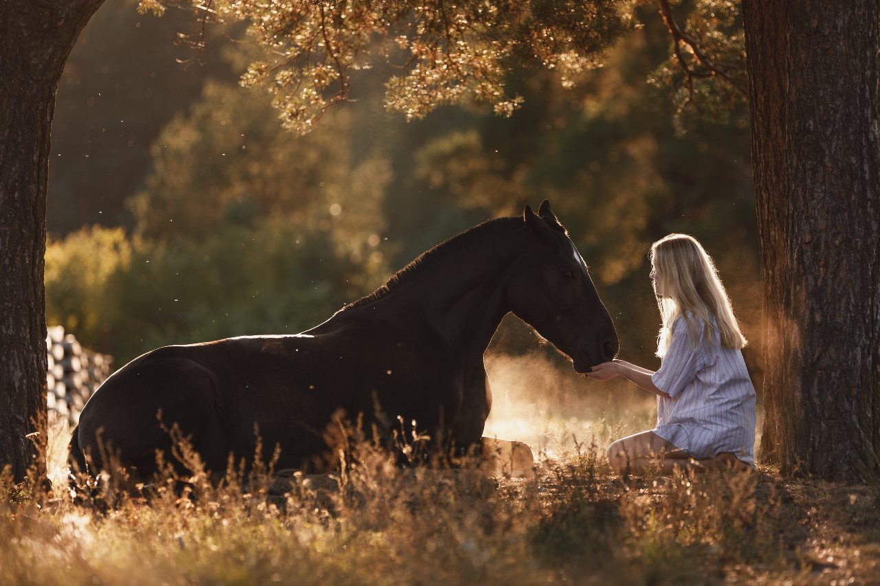 Six Telltale Signs That a Horse Trusts You