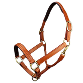 Triple-Stitched Durable Leather Horse Halter