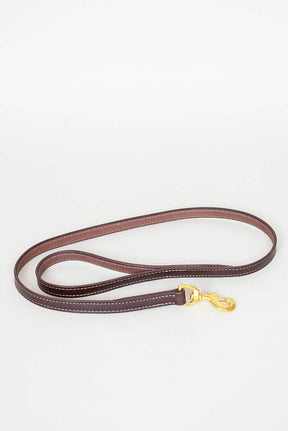 The Stitched Leather Dog Leash